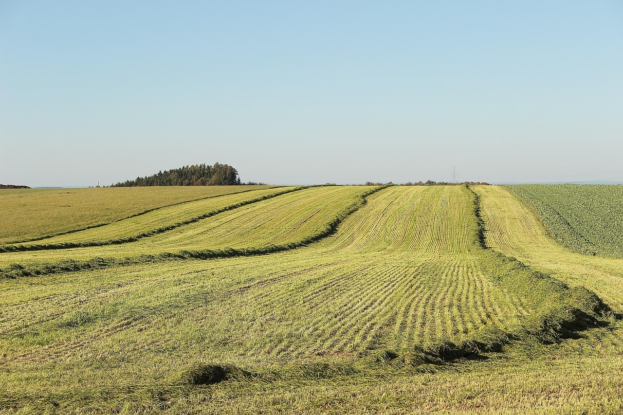 Agricultura