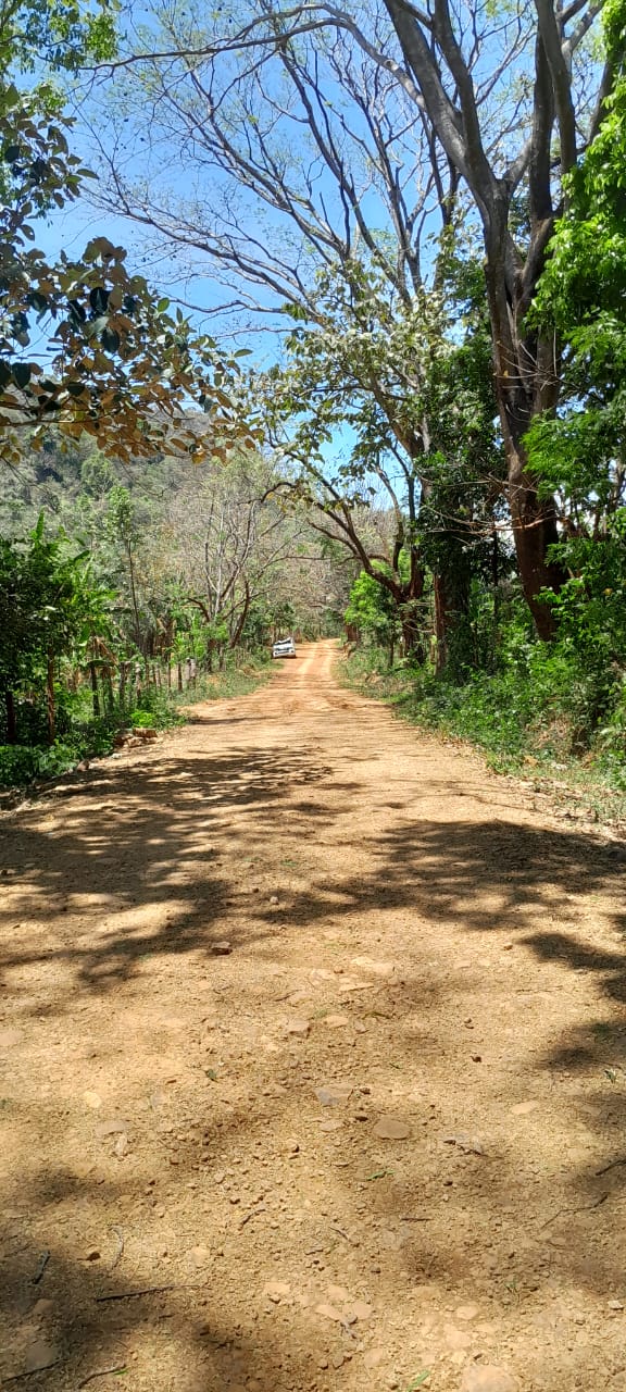 Vialidad